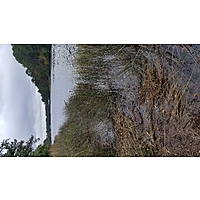 Kingtide Troop 824 image